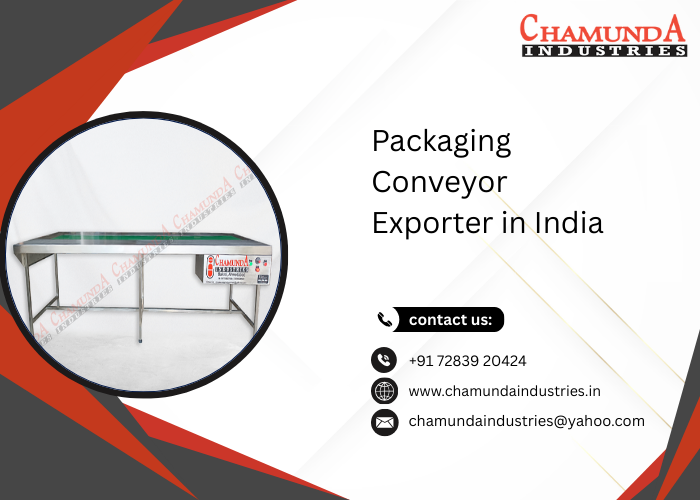 Packaging Conveyor Exporter in India