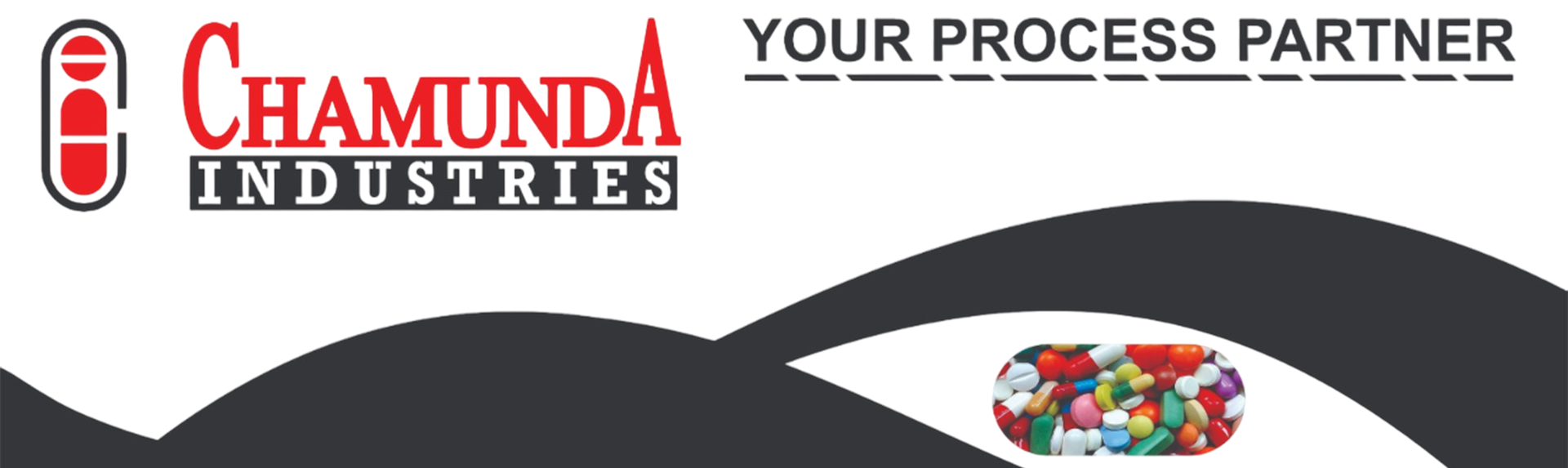 Process Partner